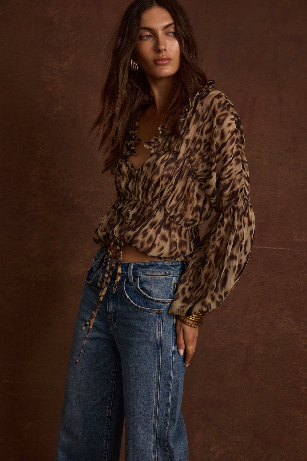 Alba Leopard Chiffon Long Sleeve Blouse