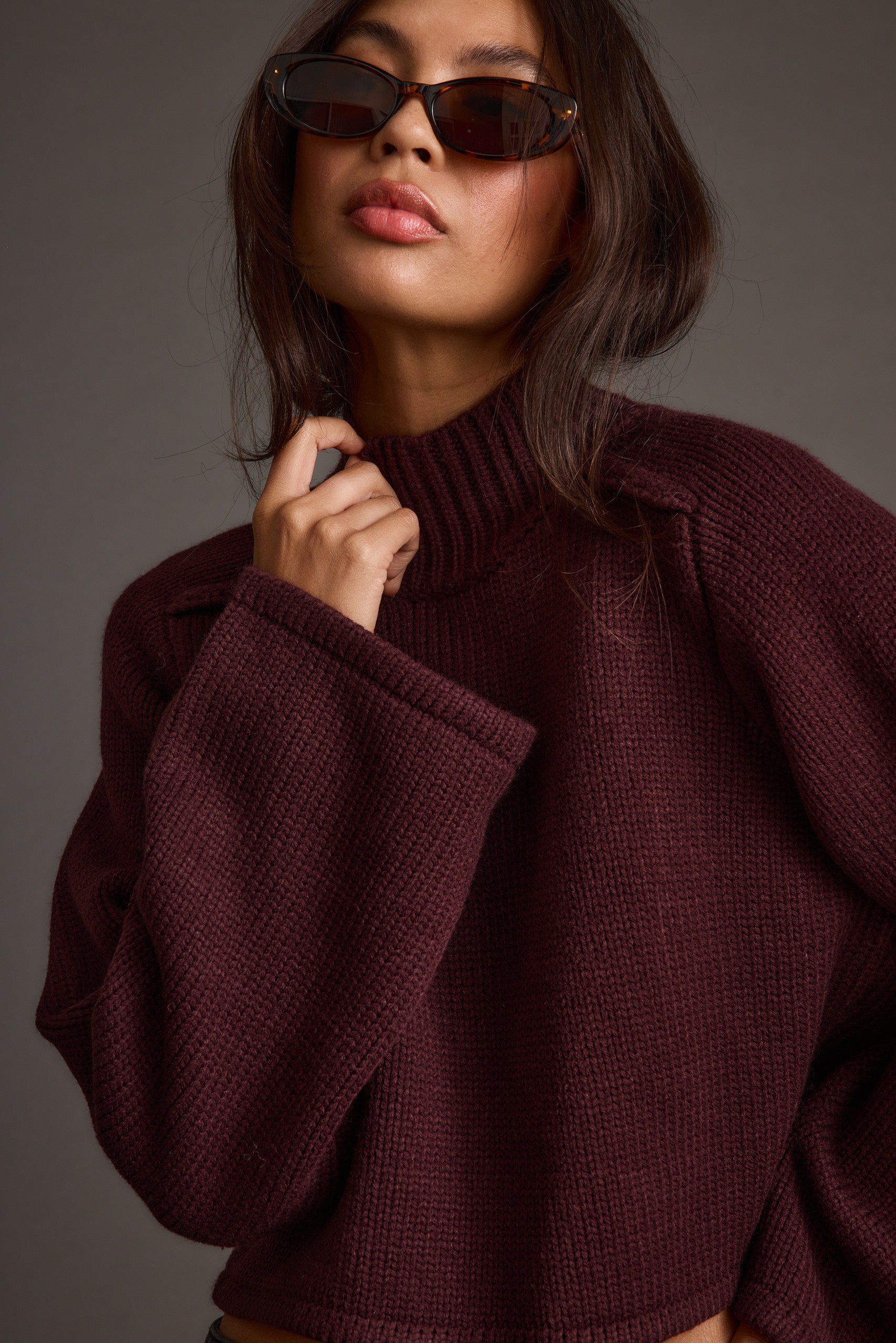 Arden Plum Cropped Sweater