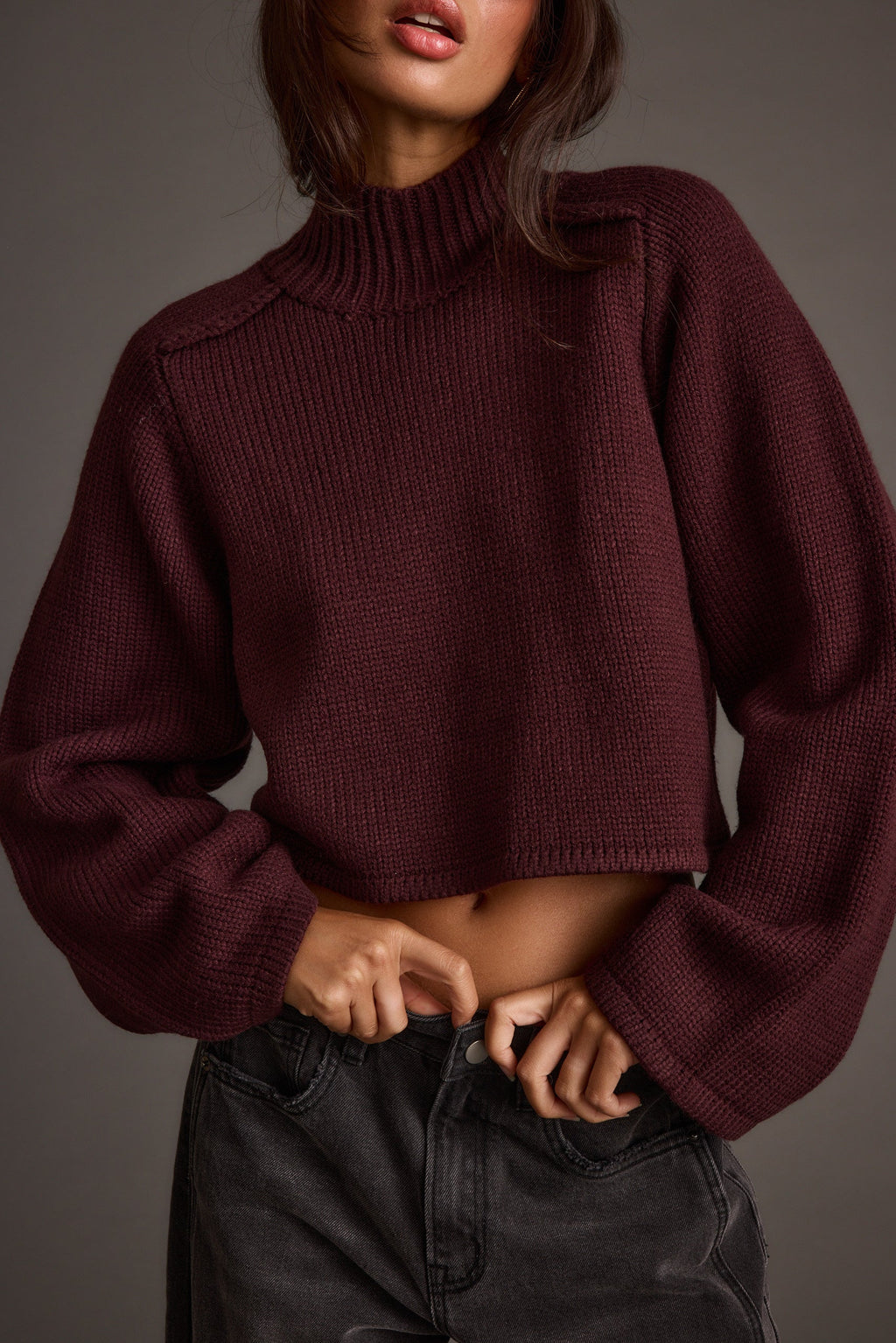 Arden Plum Cropped Sweater