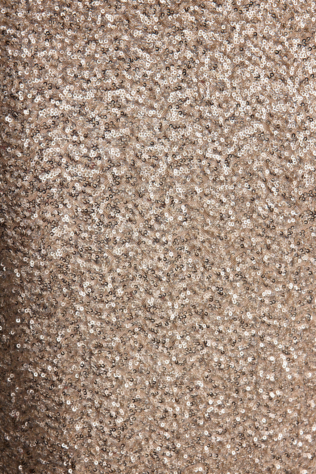 Champagne Nights Maxi Skirt