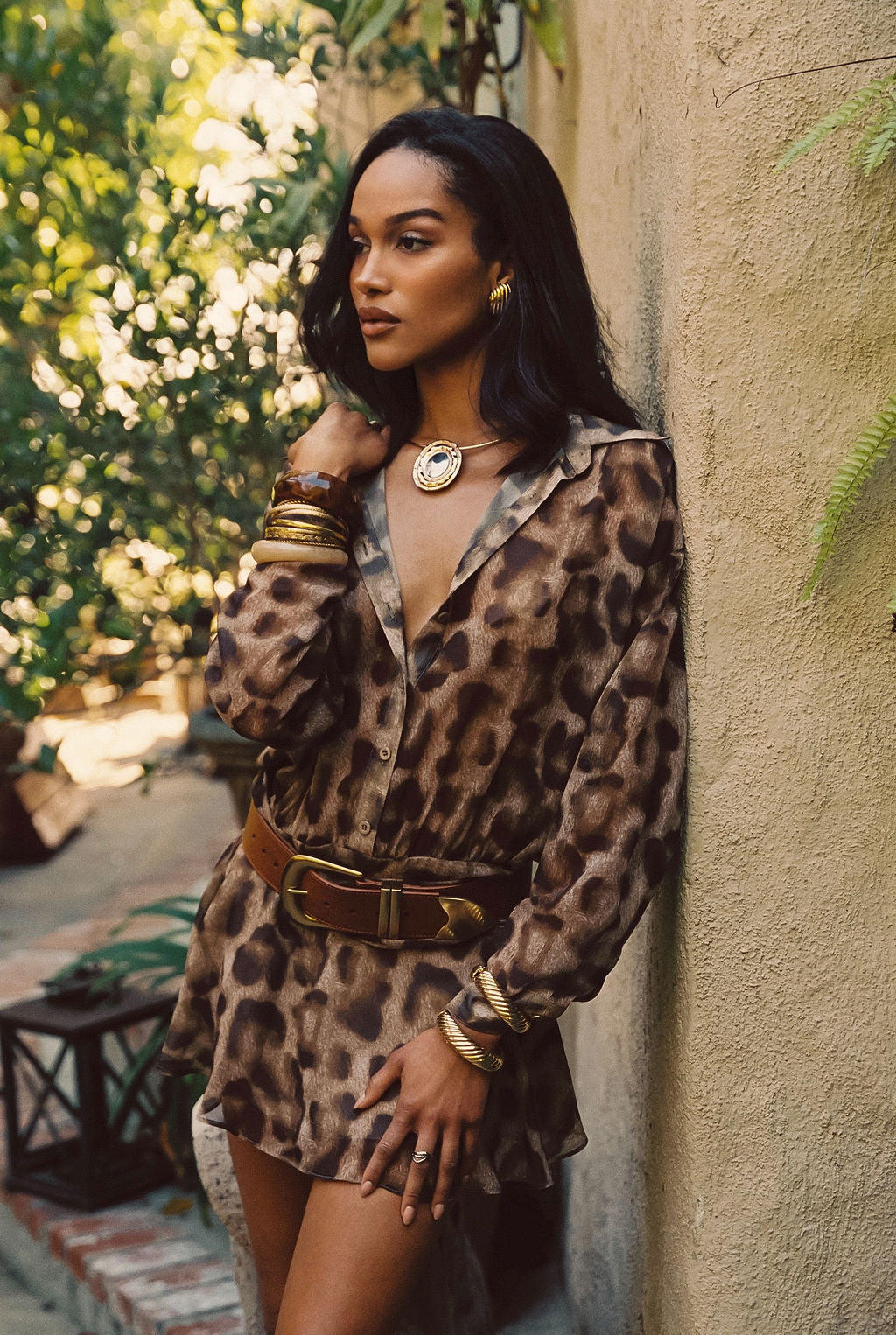 Jasper Brown and Gold Statement Belt