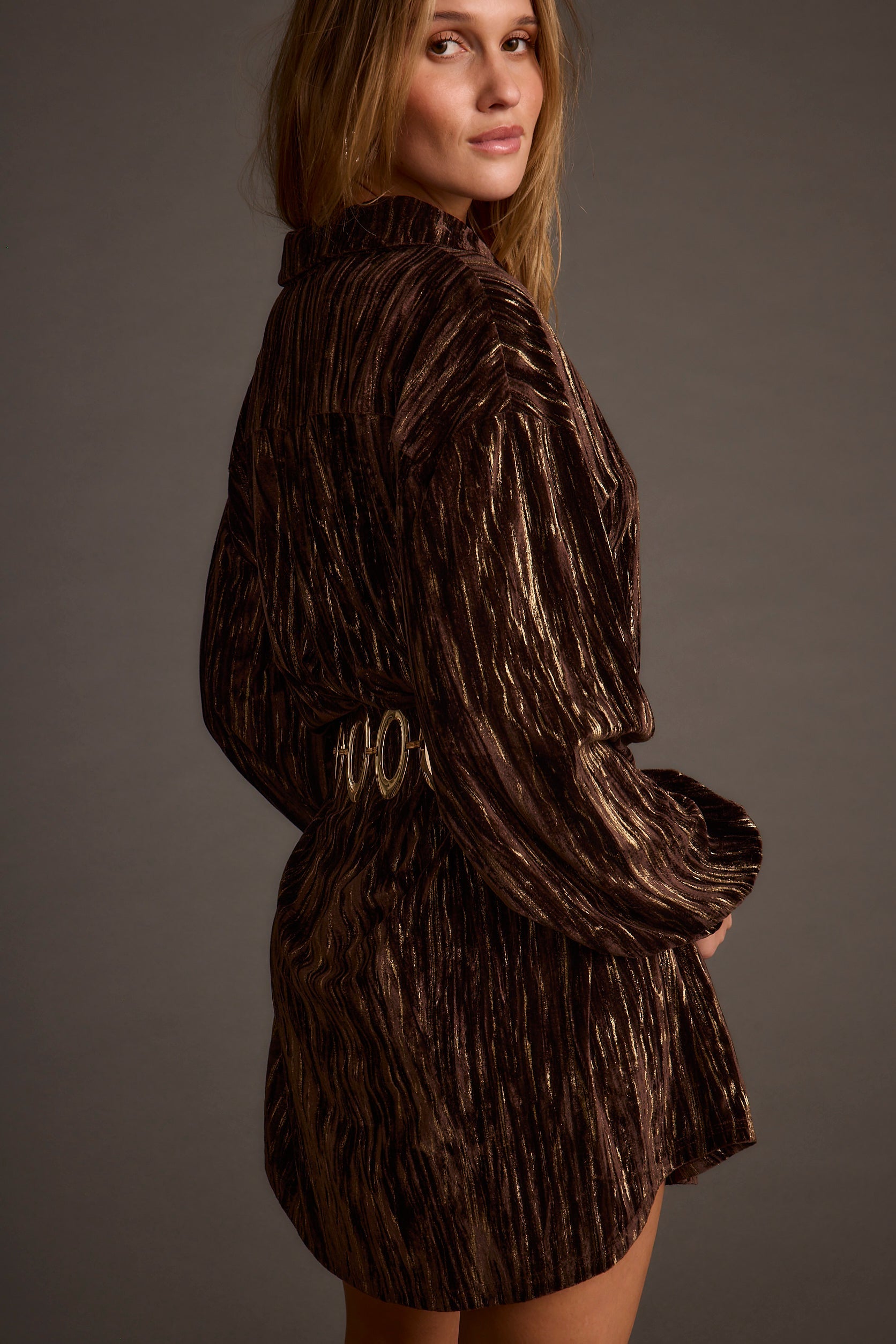 Loretta Espresso Velvet Mini Dress