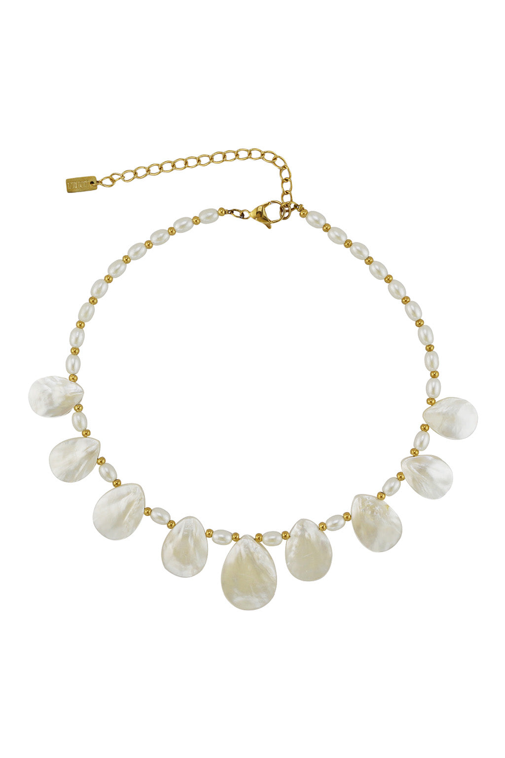 Soft Whispers Shell Choker Necklace